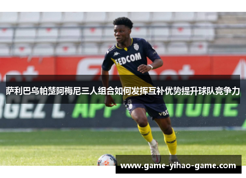 萨利巴乌帕楚阿梅尼三人组合如何发挥互补优势提升球队竞争力