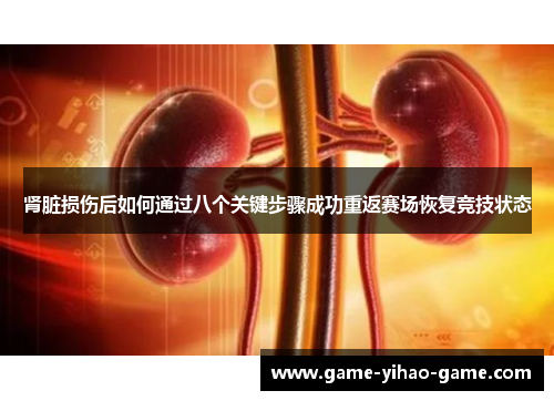 肾脏损伤后如何通过八个关键步骤成功重返赛场恢复竞技状态